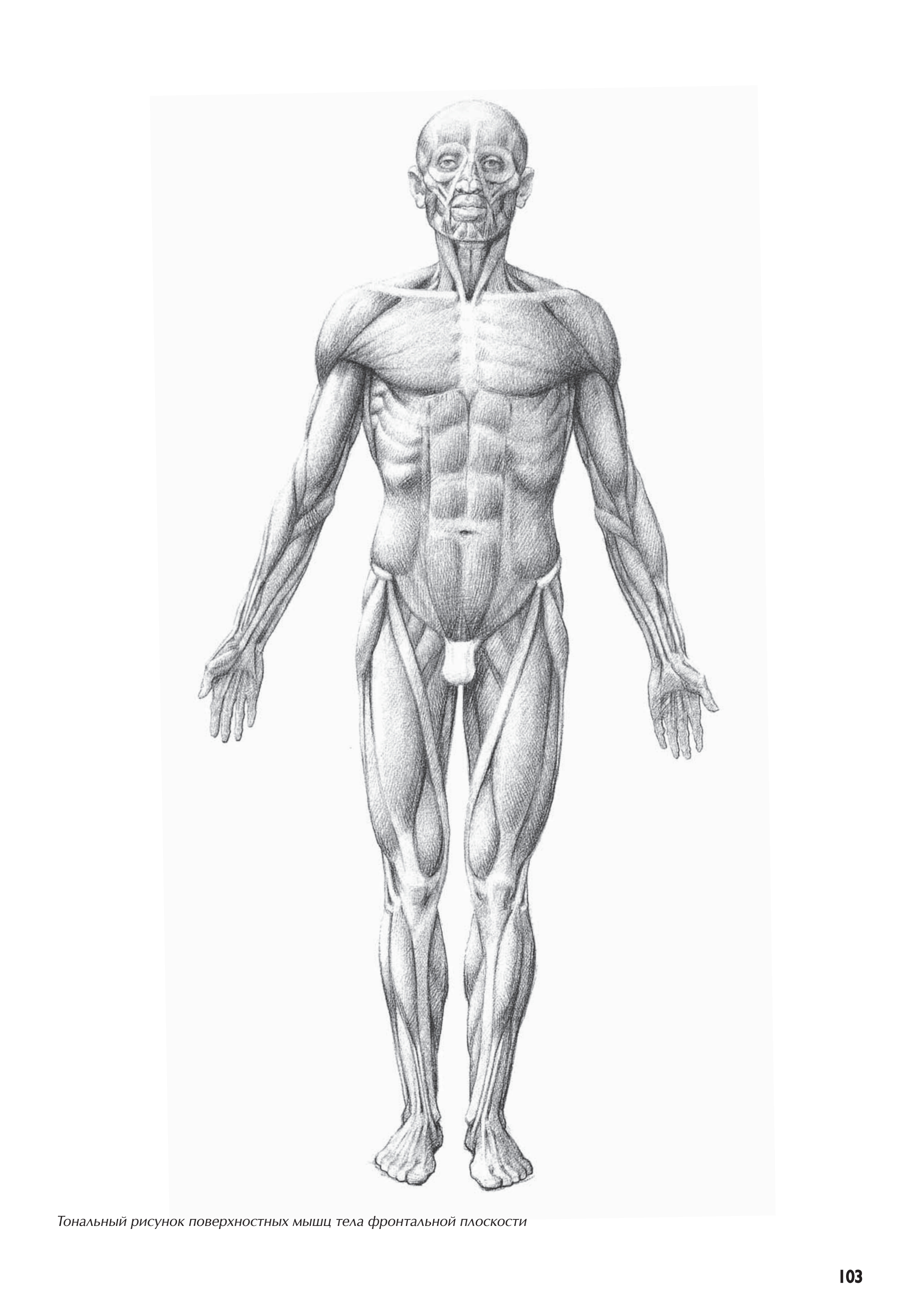 آموزش نقاشی طراحی سیاه قلم شهرری